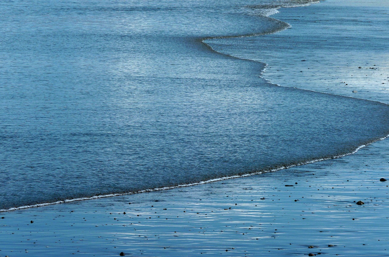 sea  wave  water free photo