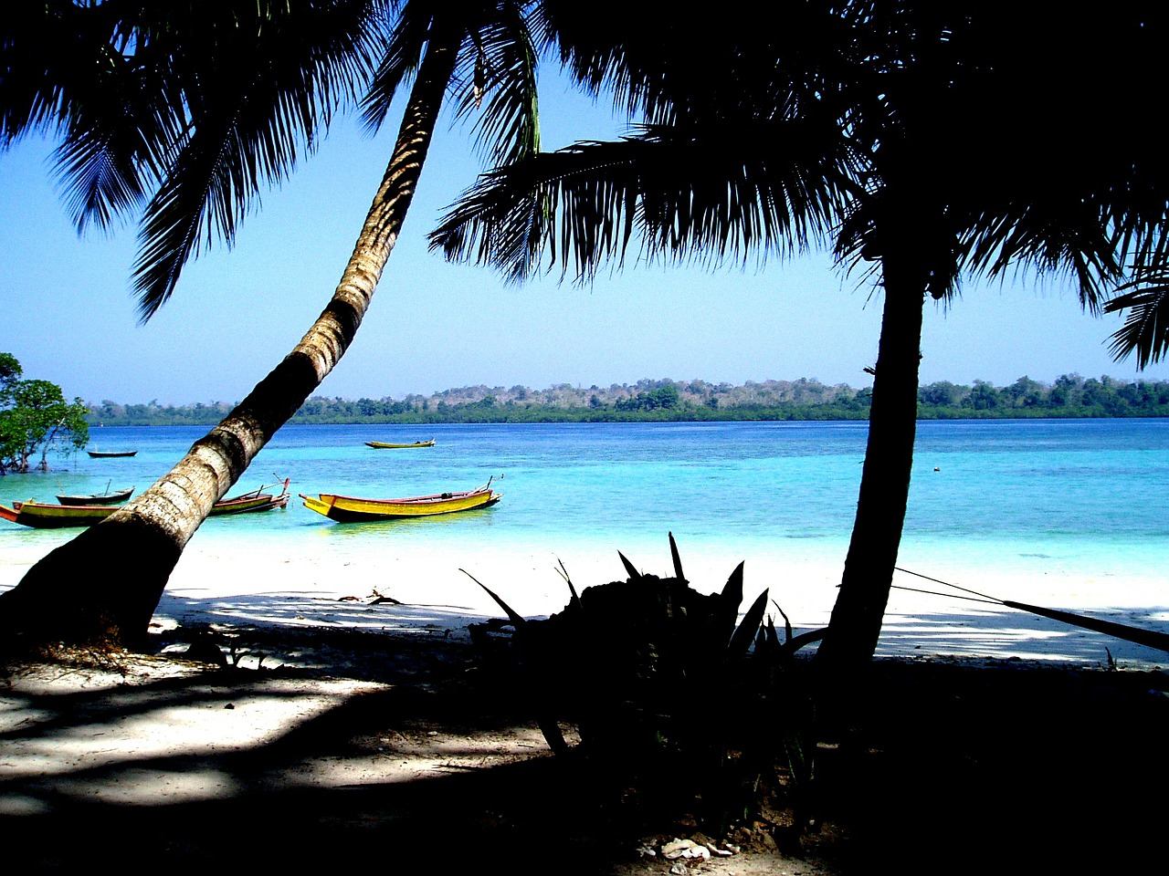 sea beach blue free photo