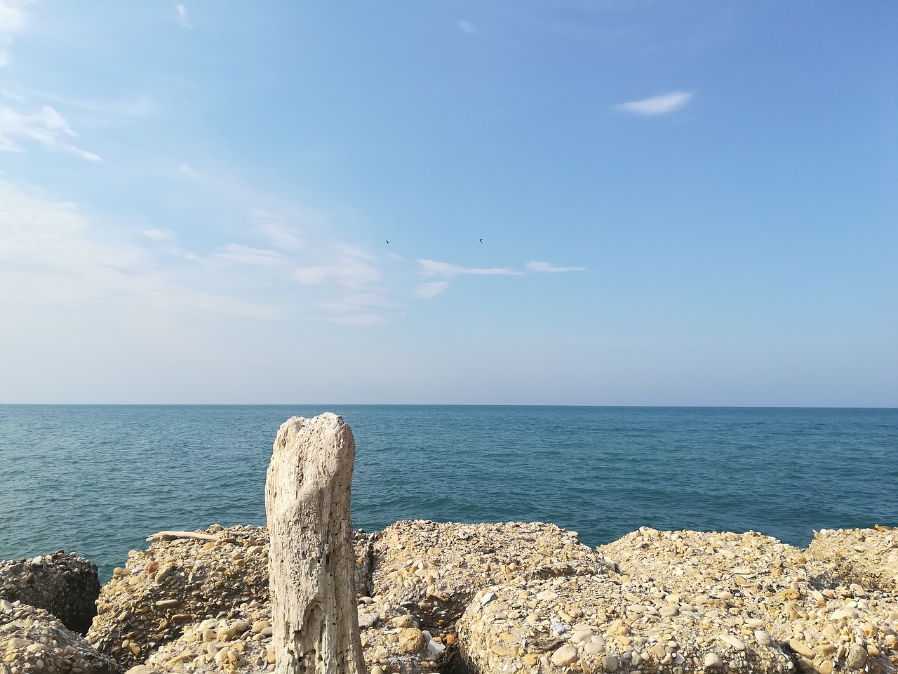 sea  horizon  blue free photo