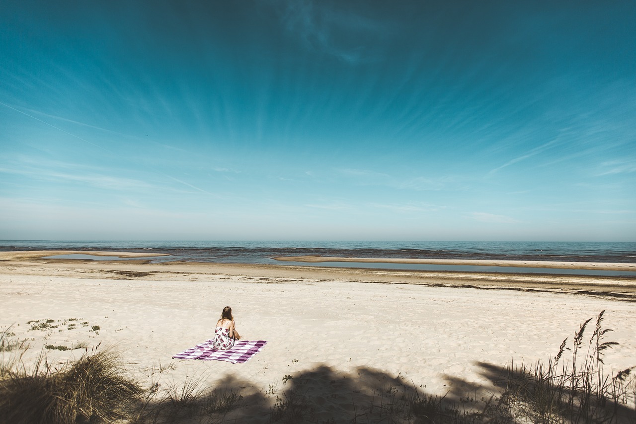 sea  beach  summer free photo