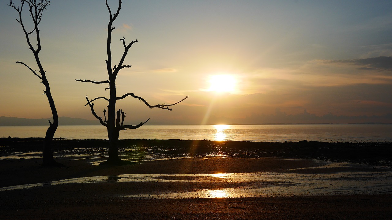 sea  sand  sunset free photo