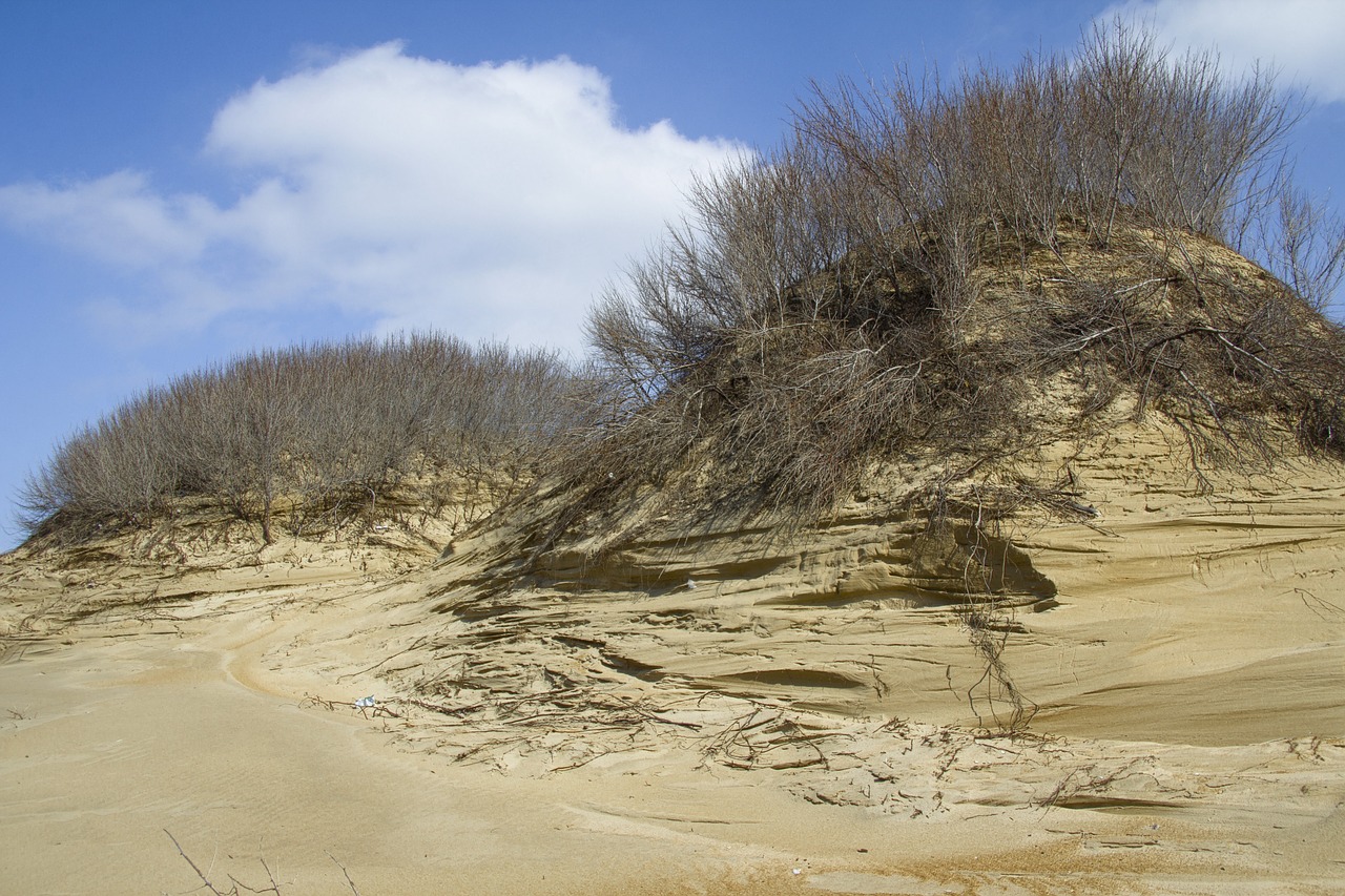 sea  dunes  sand free photo