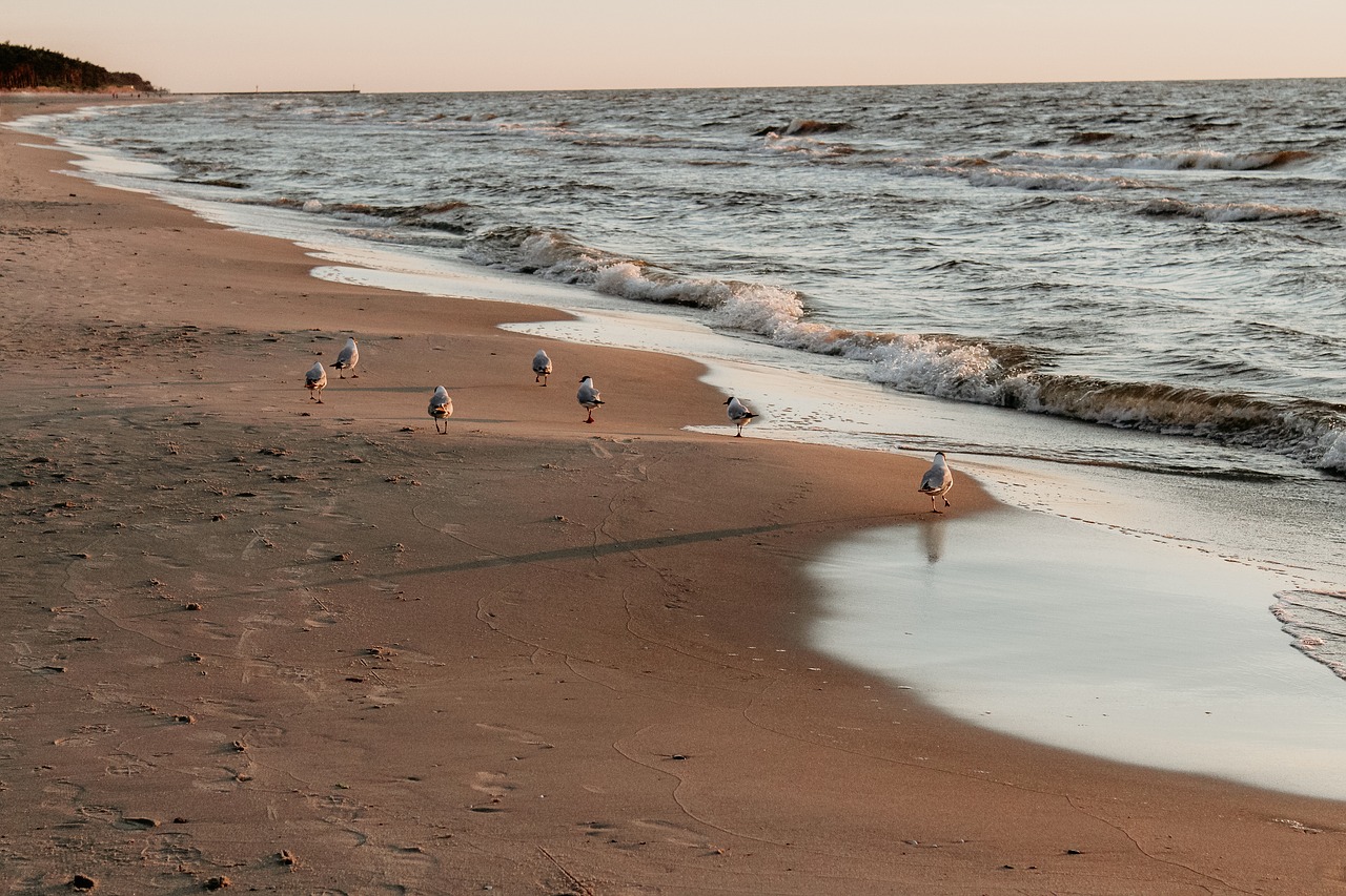 sea  beach  holidays free photo