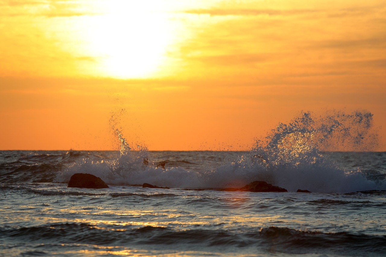 sea  beach  summer free photo