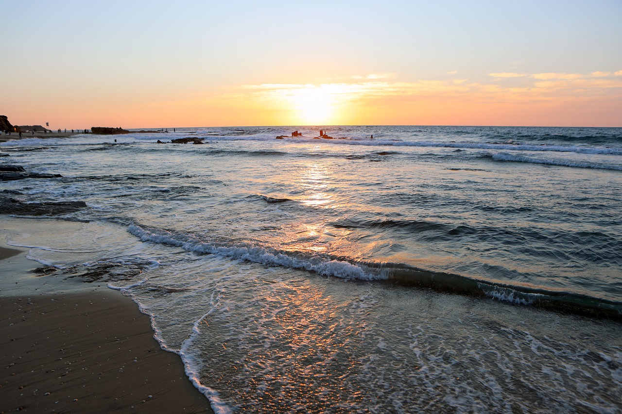 sea  beach  summer free photo