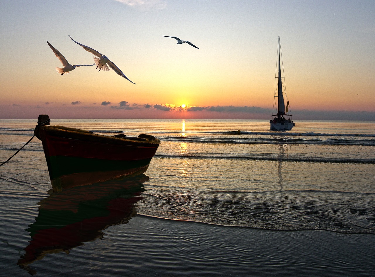 sea  boats  dawn free photo