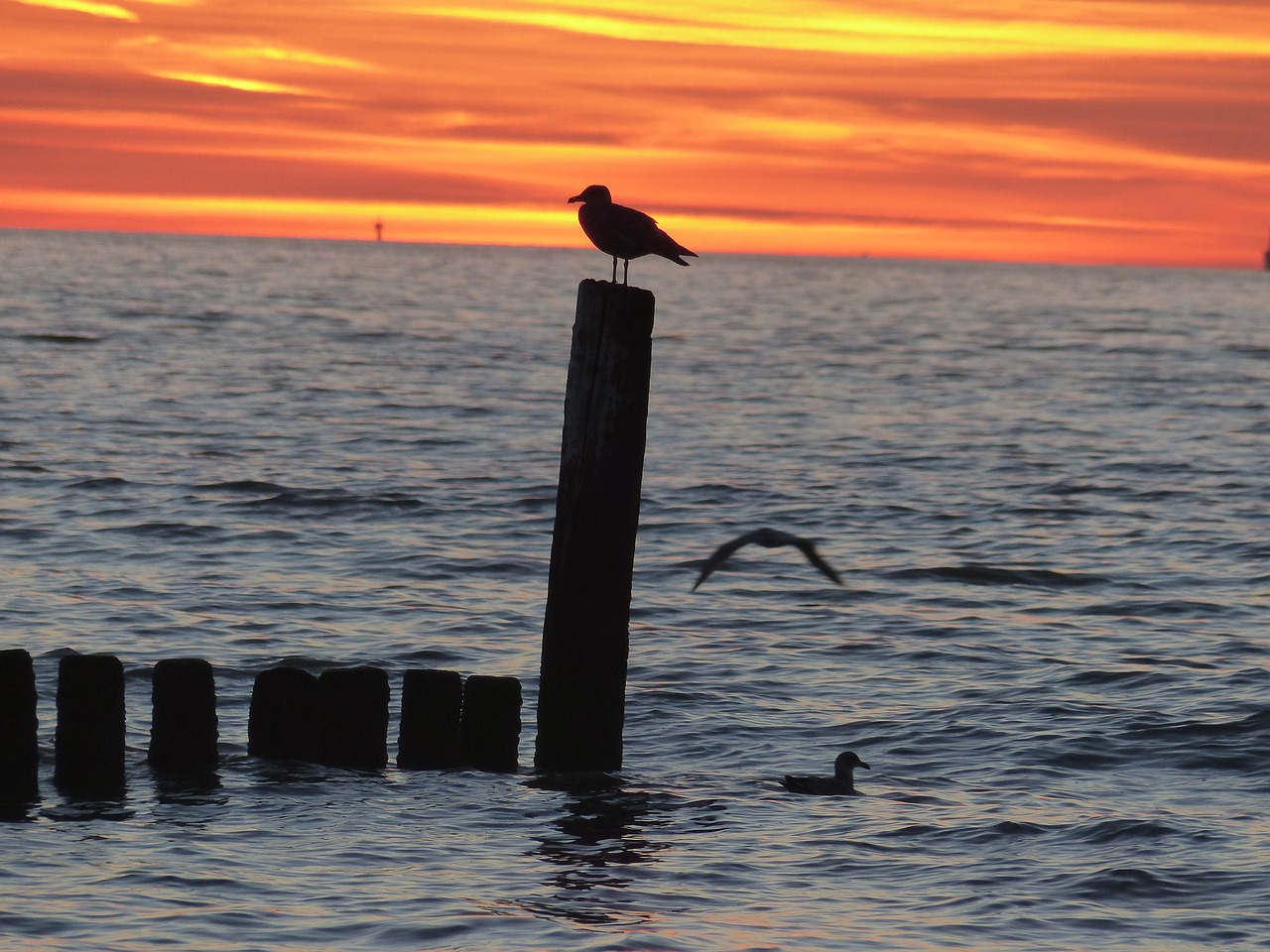 sea  sunset  abendstimmung free photo