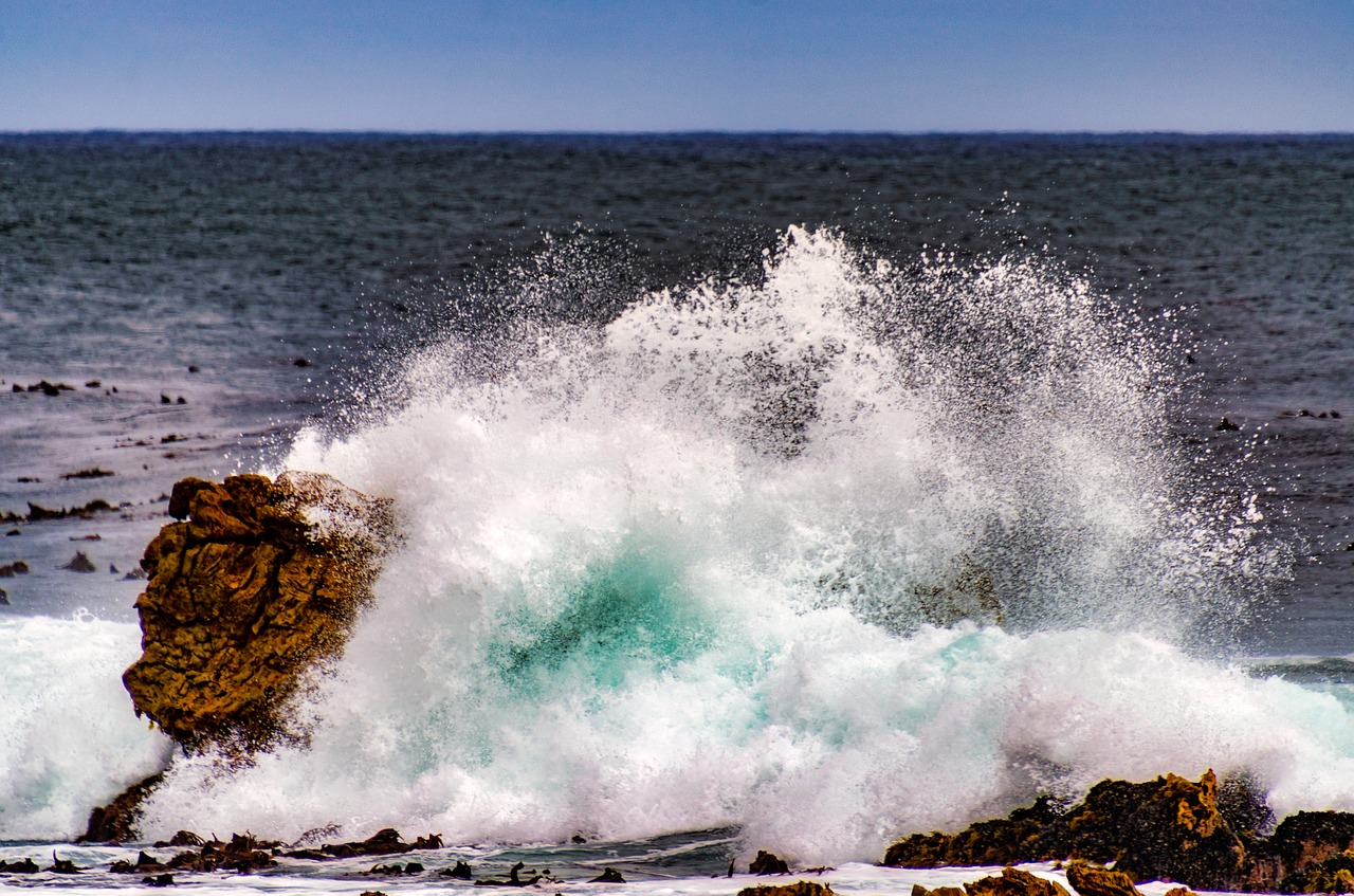 sea  ocean  wave free photo