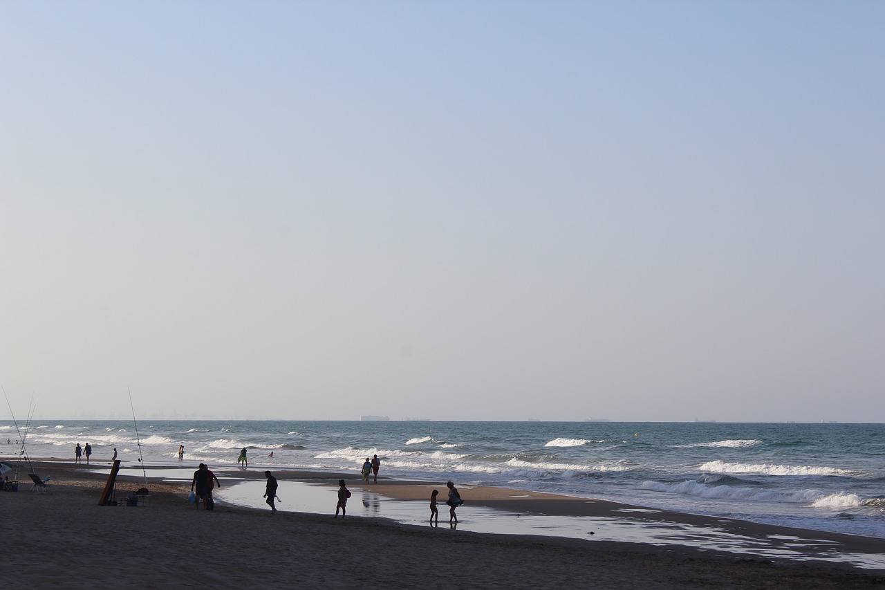 sea  branding  swimming free photo