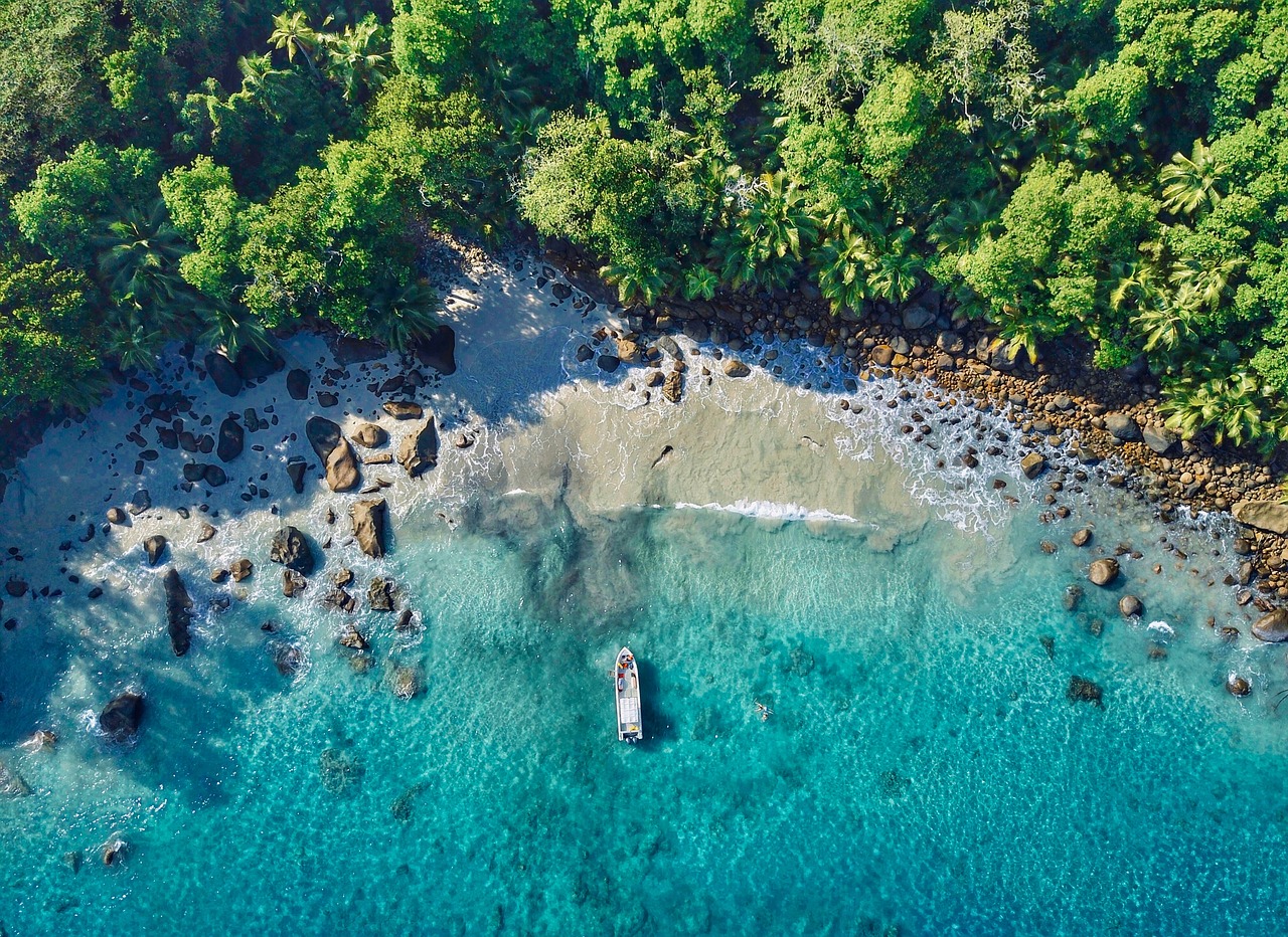 sea  nature  ocean free photo