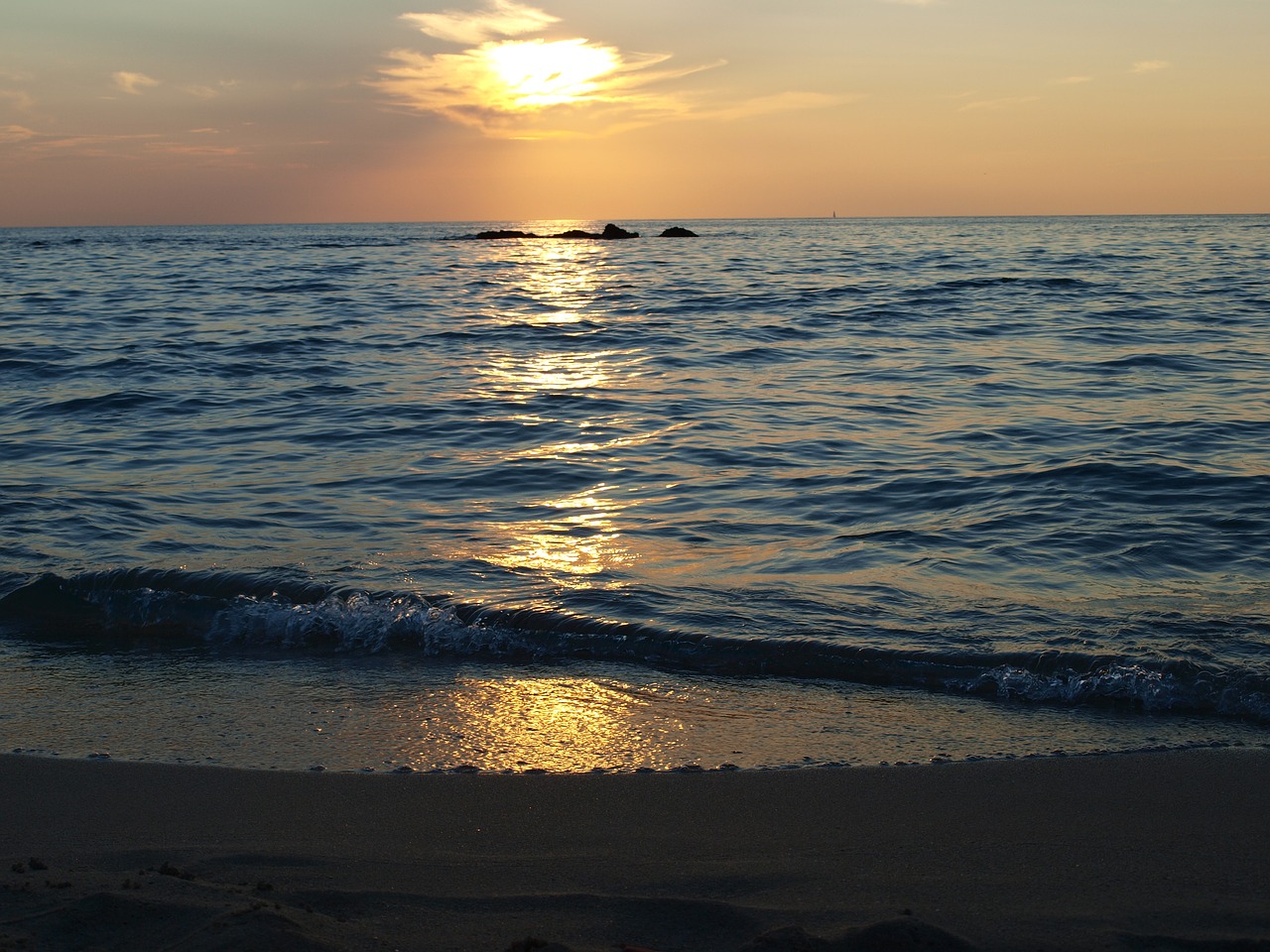 sea  summer  beach free photo