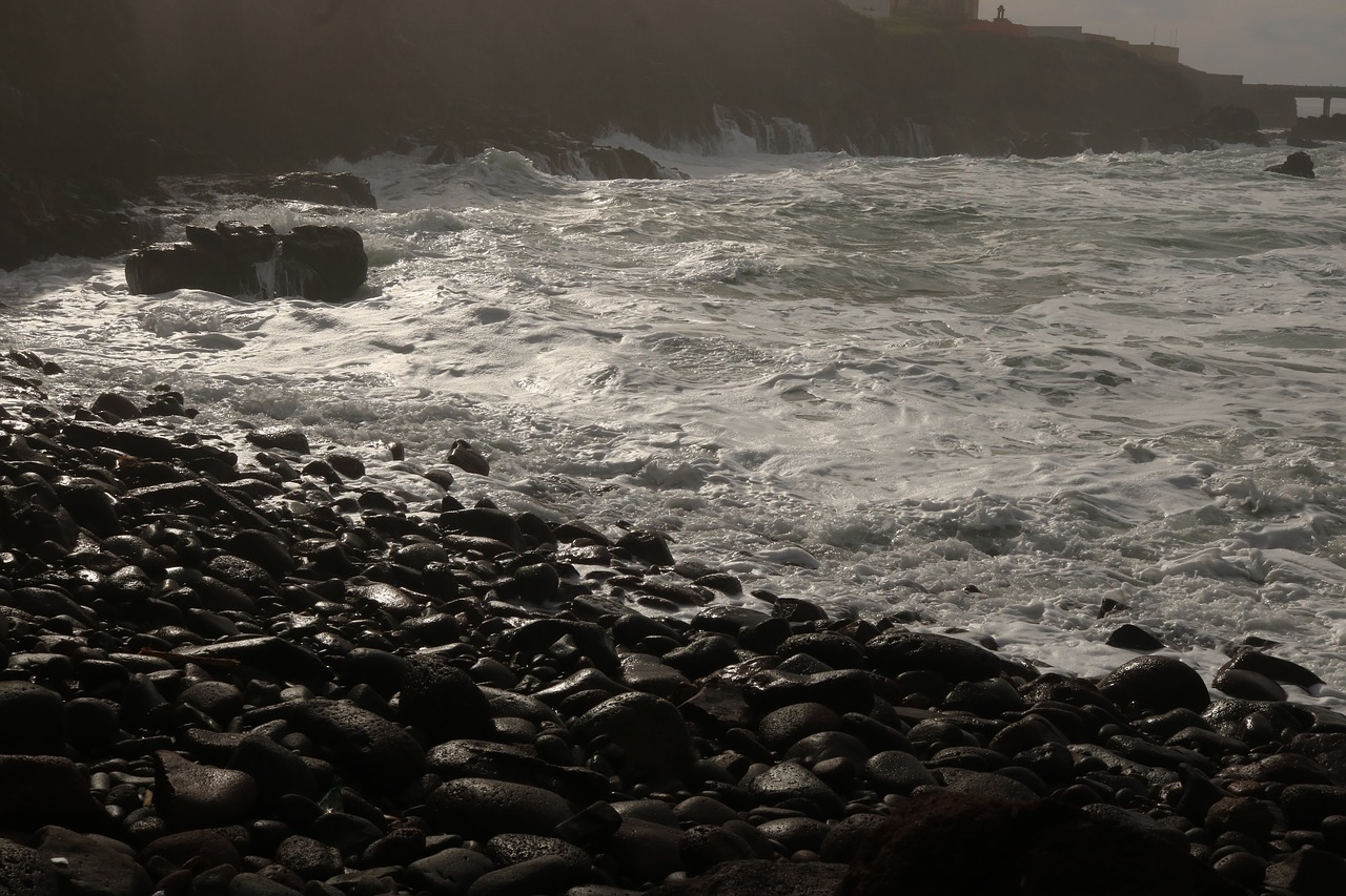 sea  cloudy  beach free photo