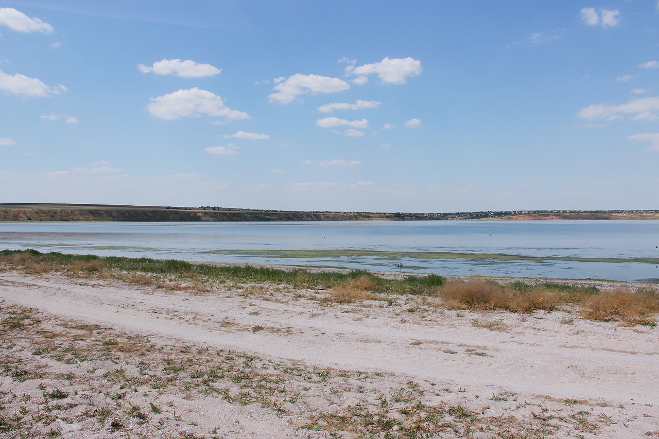 sea  beach  sand free photo