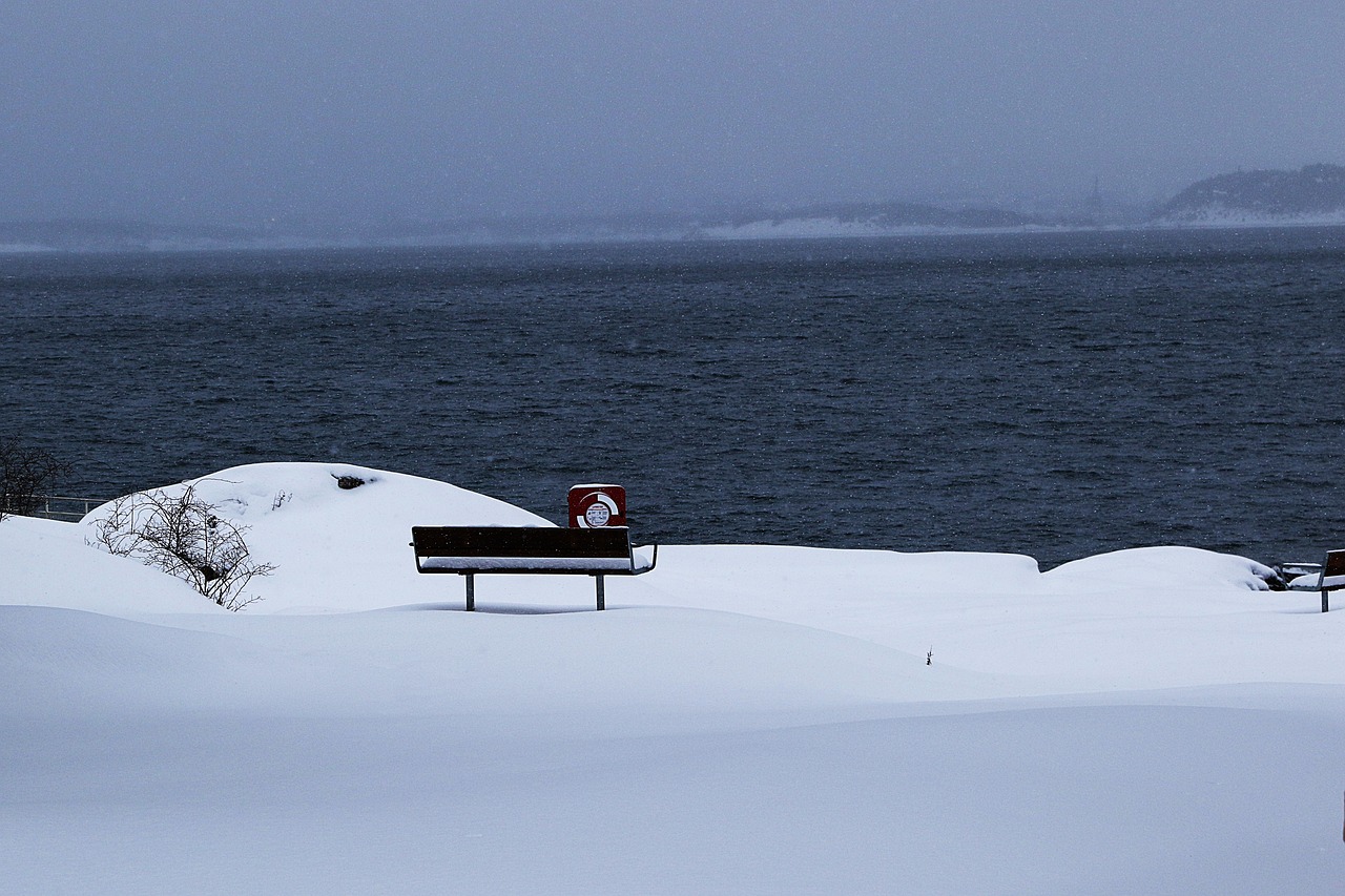 sea  water  winter free photo