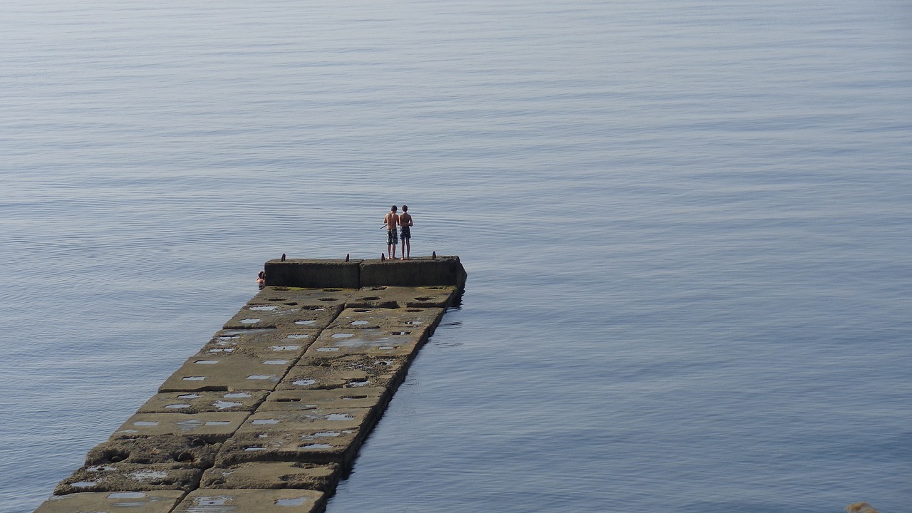 sea  pierce  pier free photo