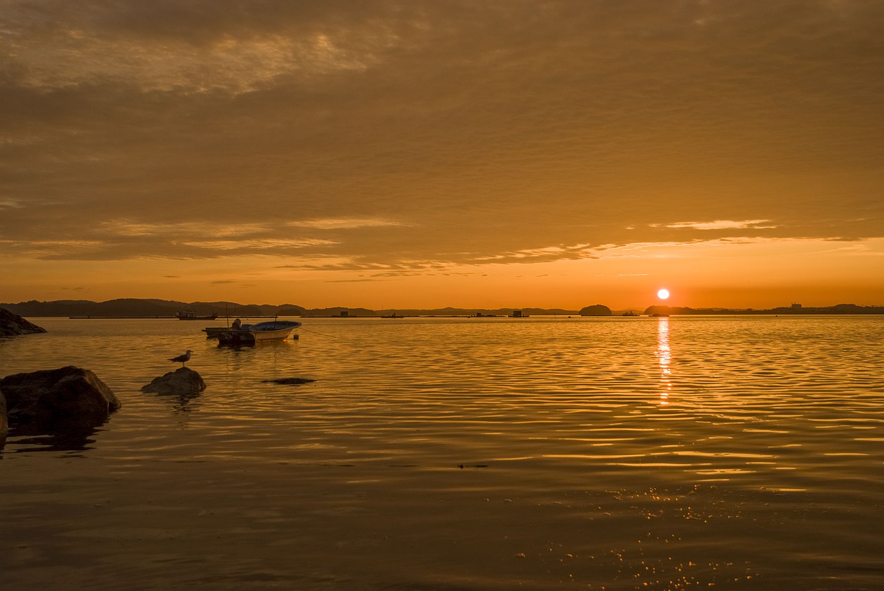 sea  landscape  sunset free photo