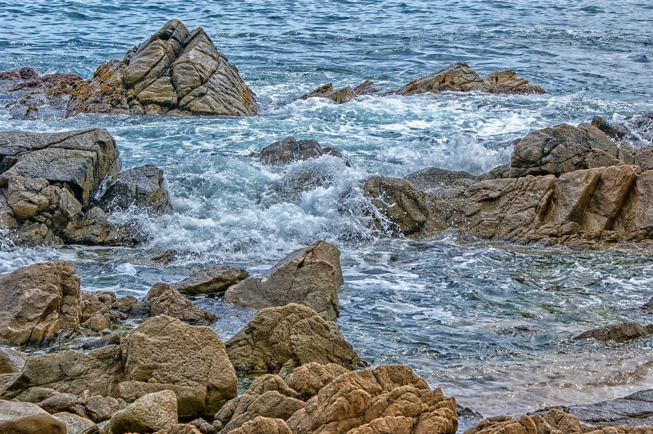 sea  rocks  the coast free photo