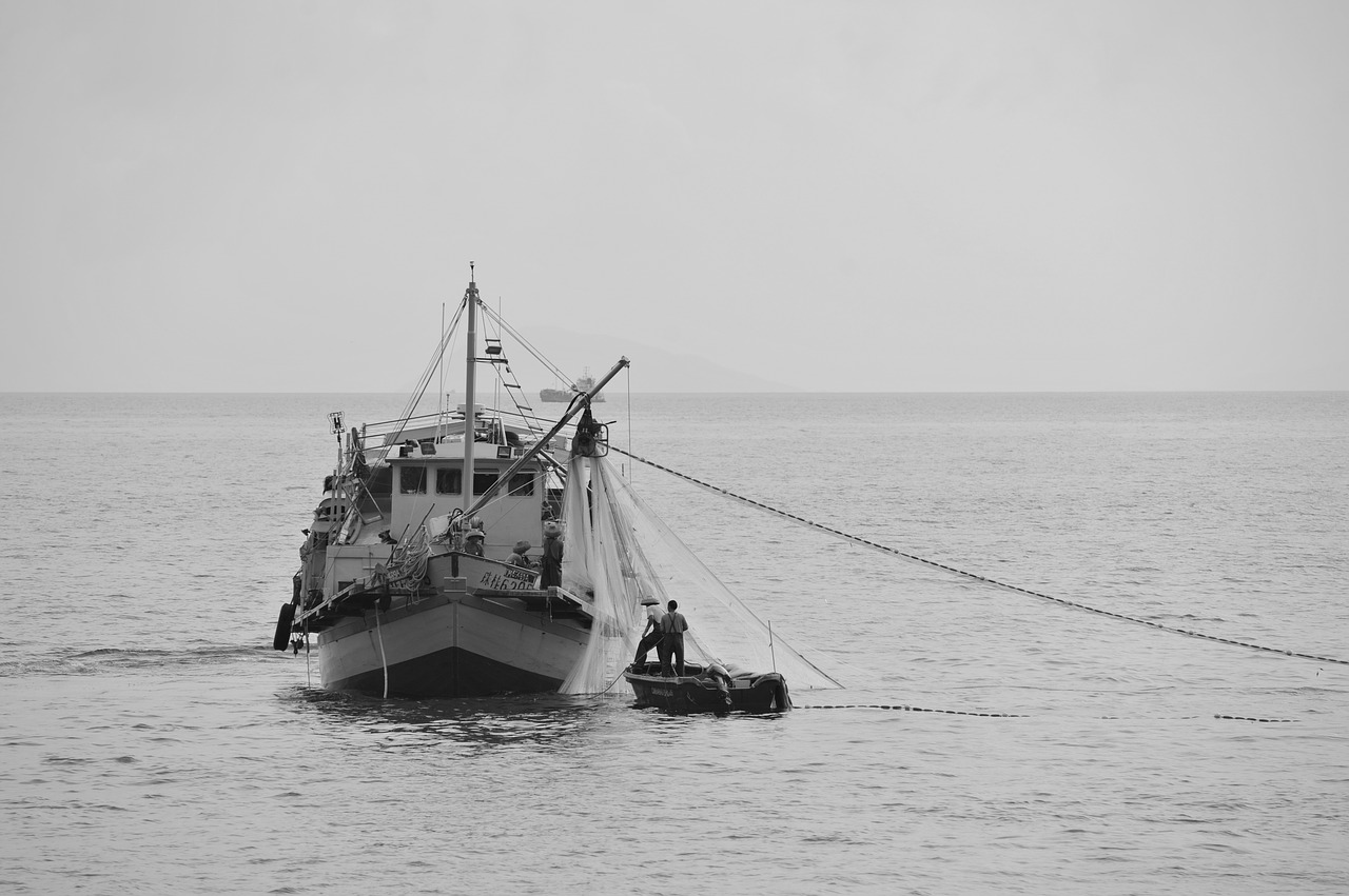 sea  times  fishing free photo