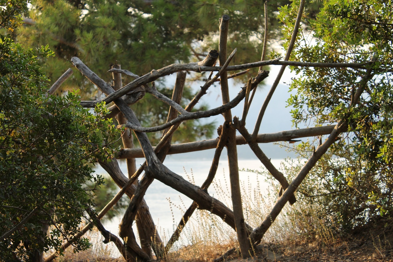 sea  peninsula  fence free photo