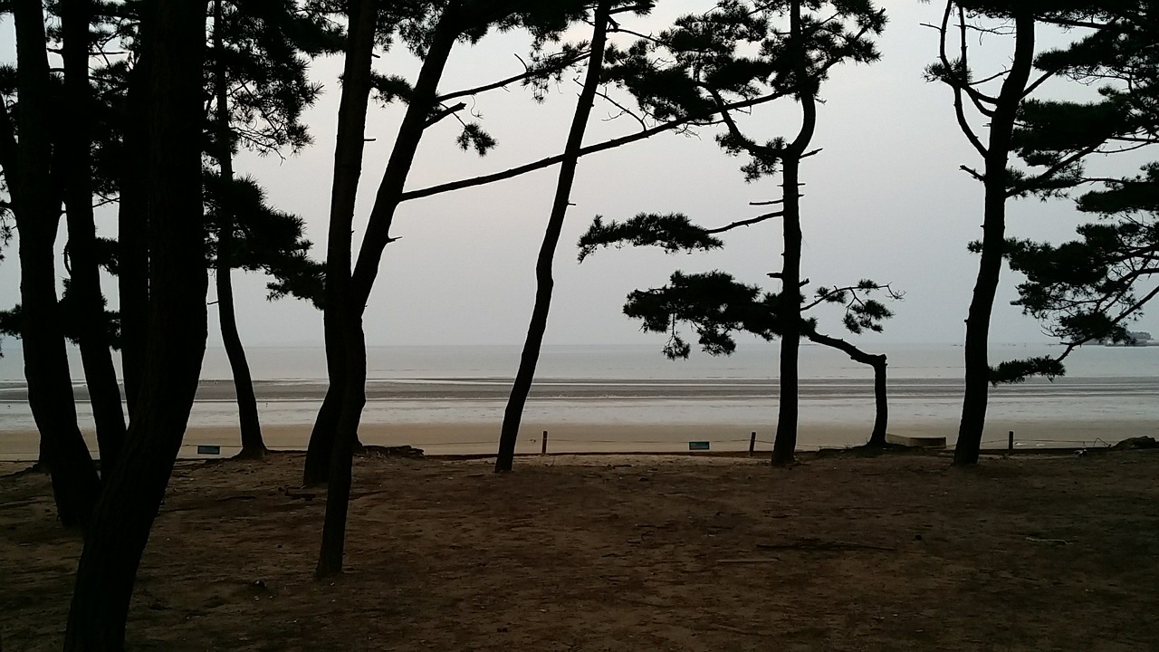 sea mongsanpo bathing beach free photo