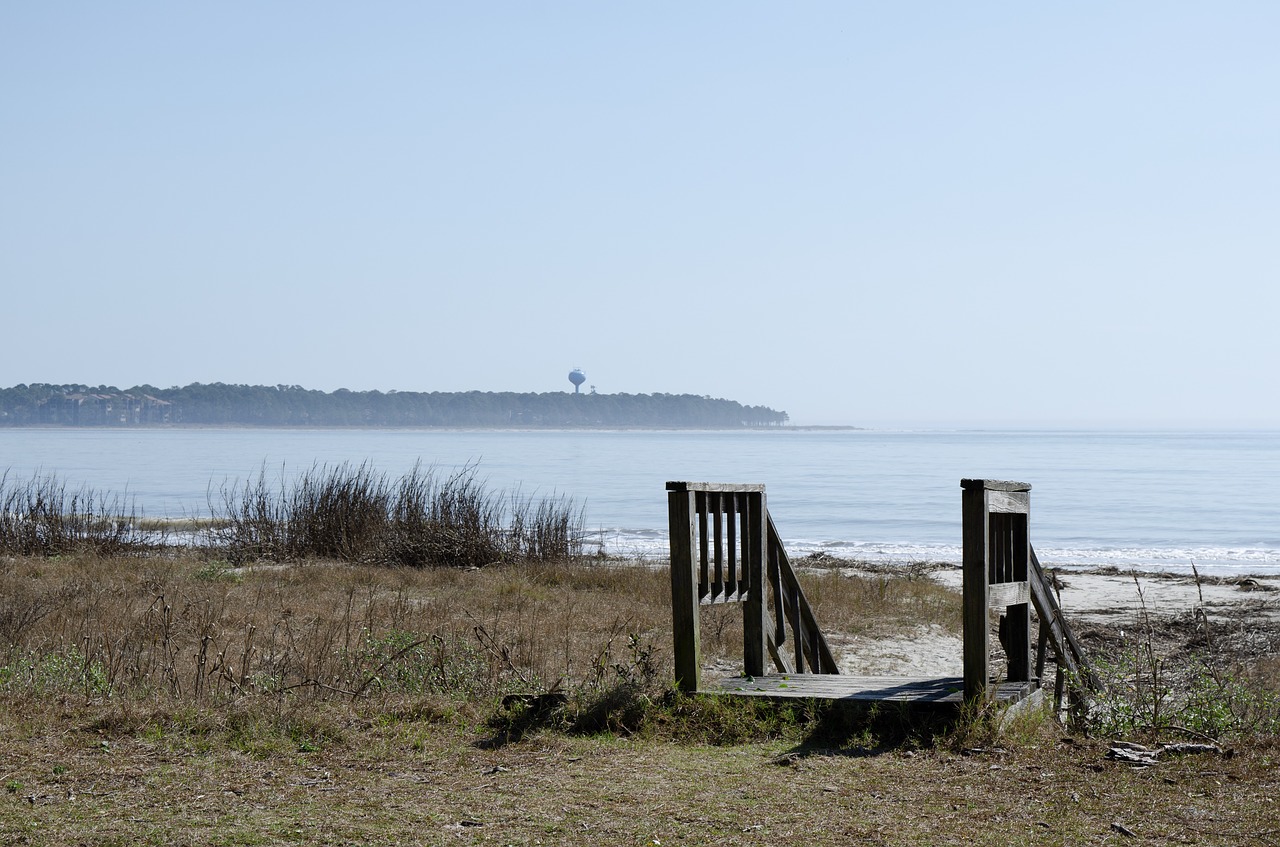 sea  beach  summer free photo