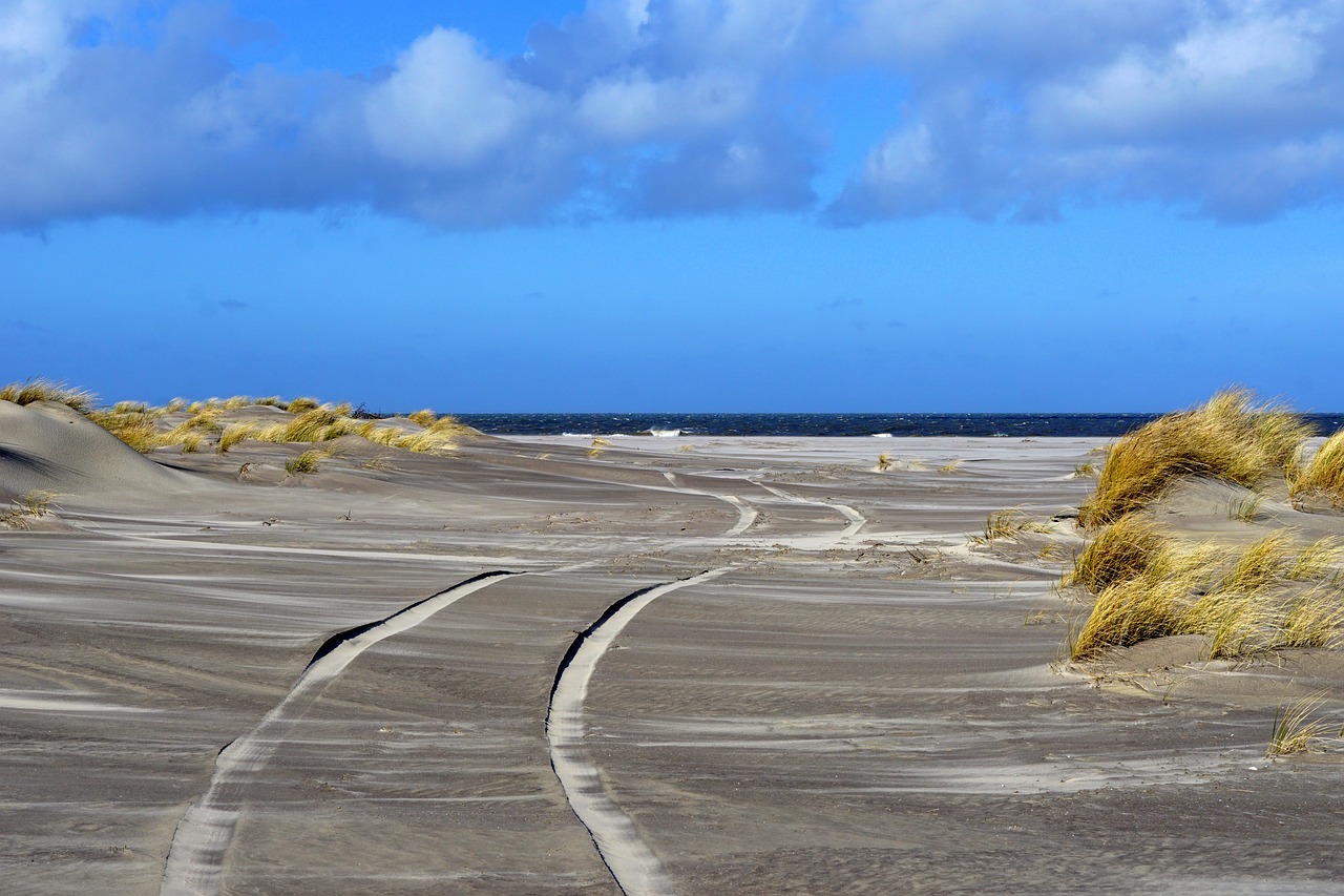 sea  sand  beach free photo