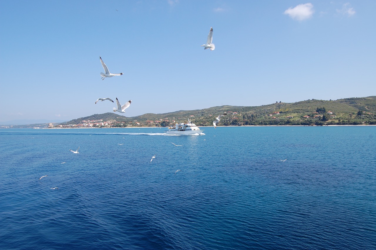 sea  boat  birds free photo