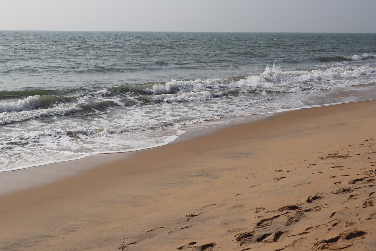 sea  waves  beach free photo