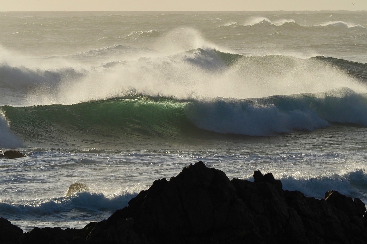 sea  spray  wave free photo