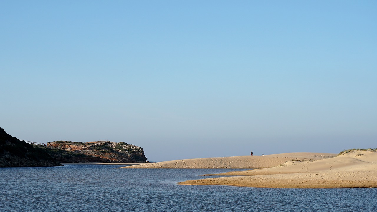 sea  coast  beach free photo