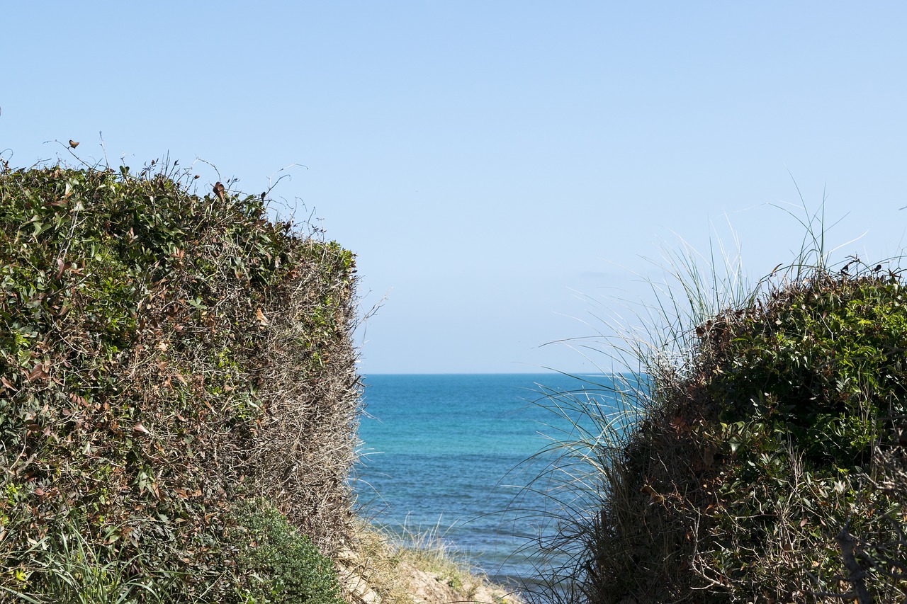 sea  nature  beach free photo