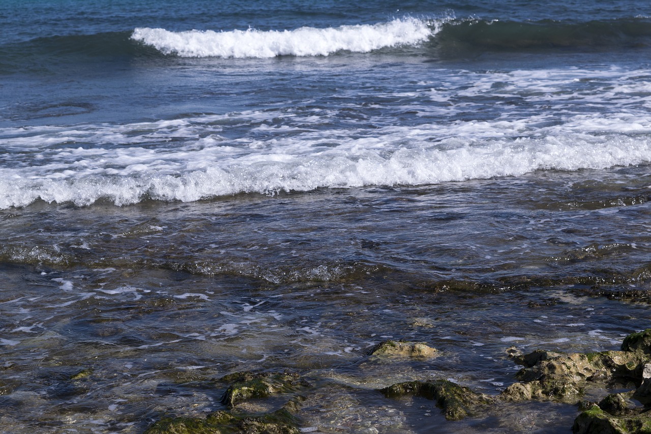 sea  waves  beach free photo