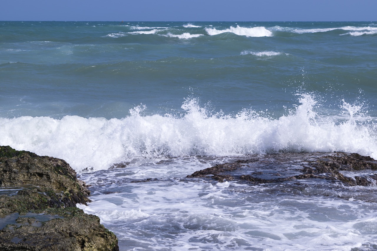 sea  waves  rocks free photo