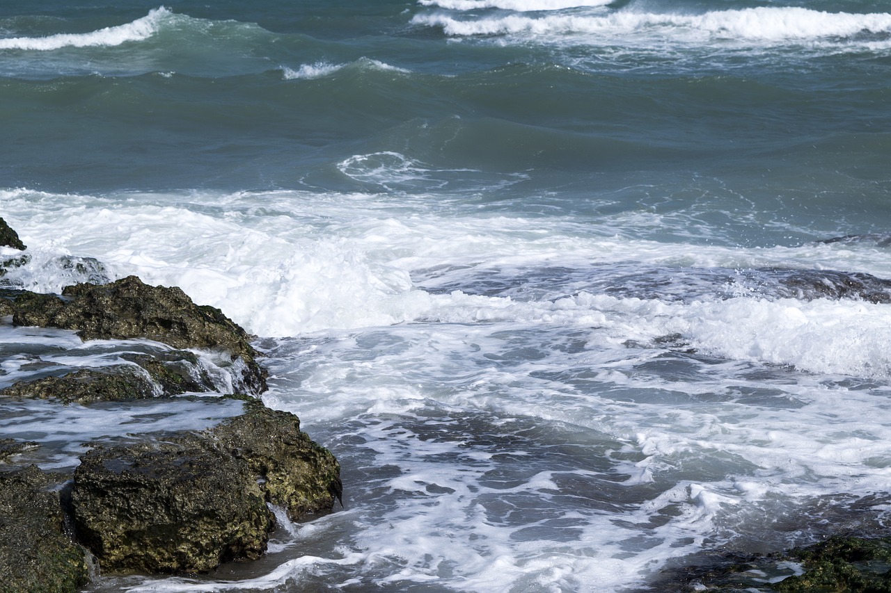 sea  waves  rocks free photo