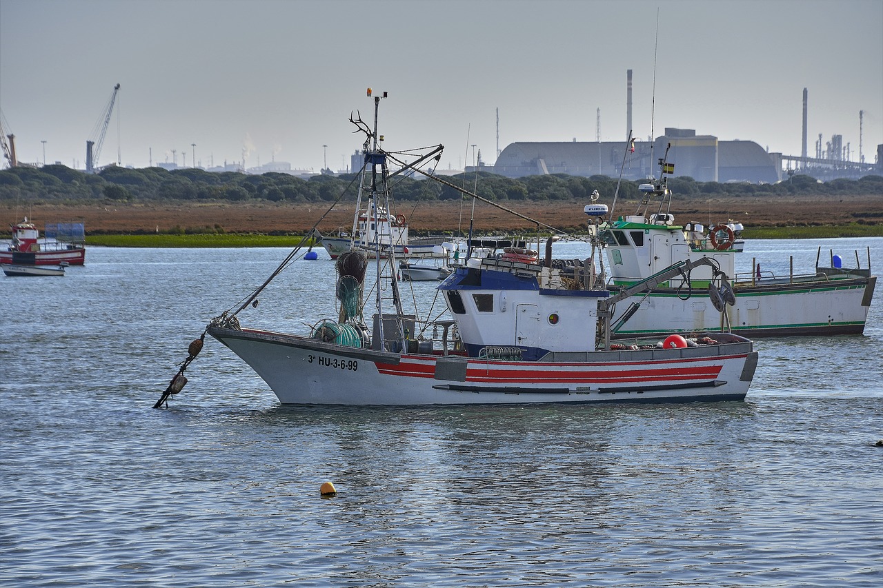 sea  boat  ocean free photo