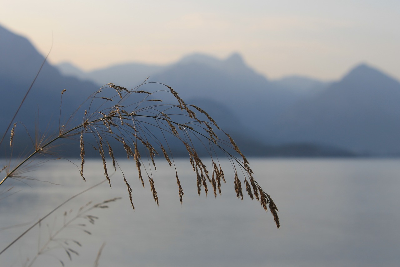 sea  mountains  kolos free photo