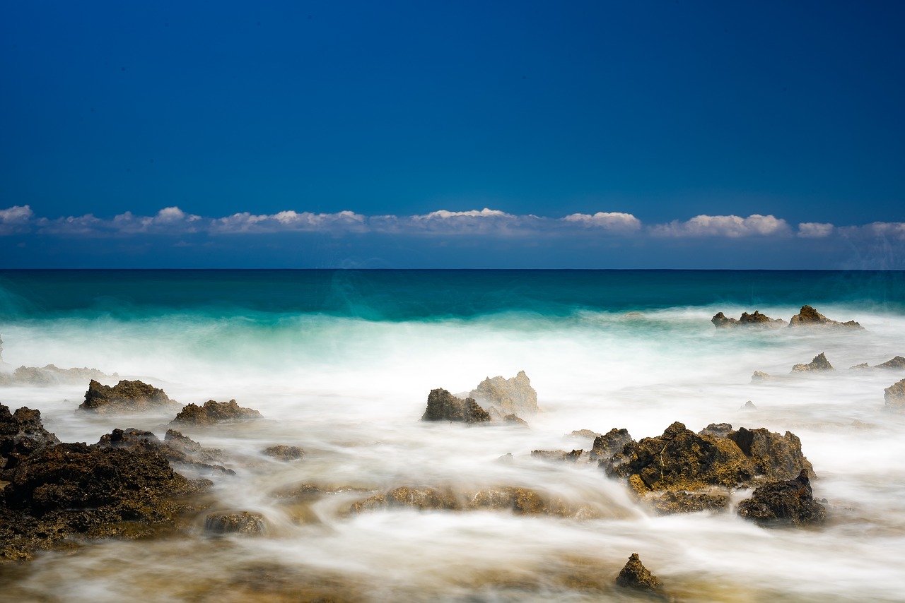 sea  summer  beach free photo