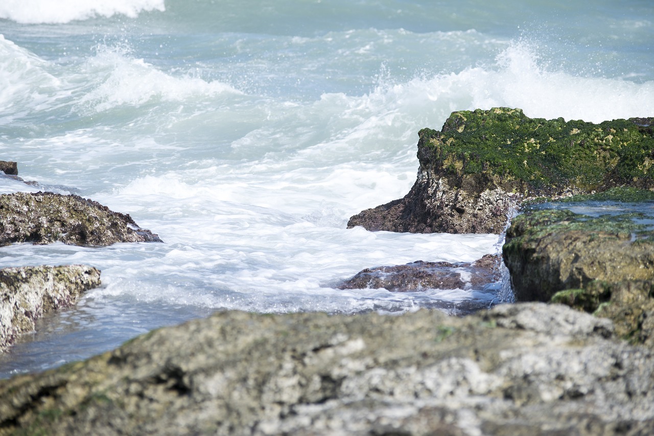 sea  rocks  costa free photo