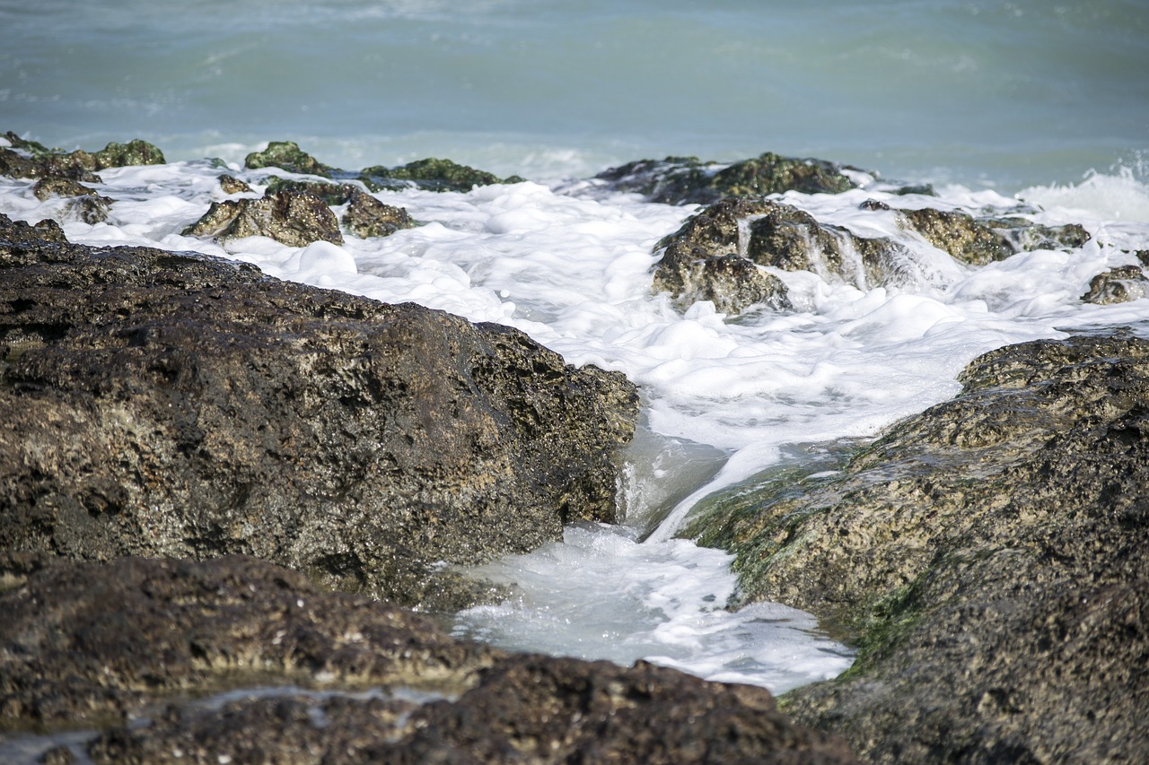 sea  rock  rocks free photo