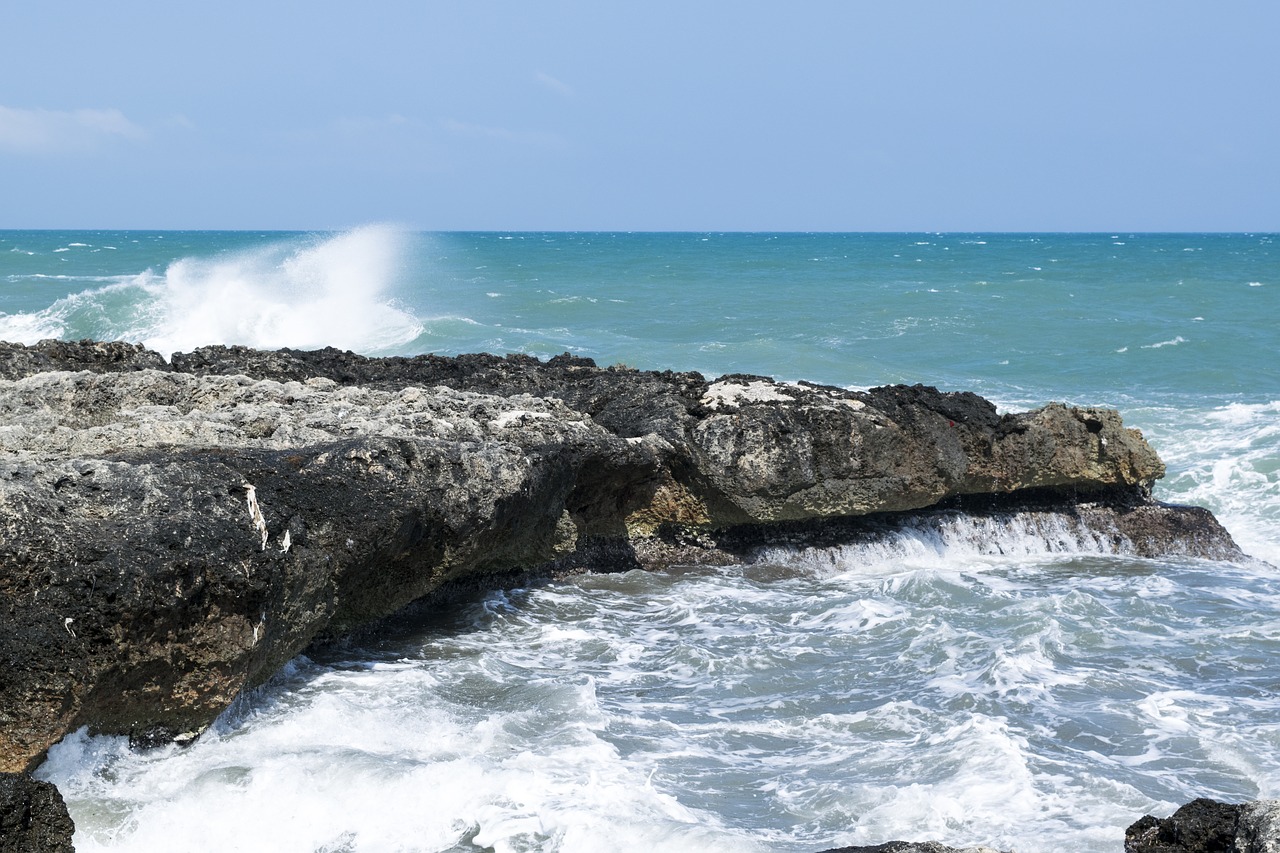 sea  rock  waves free photo