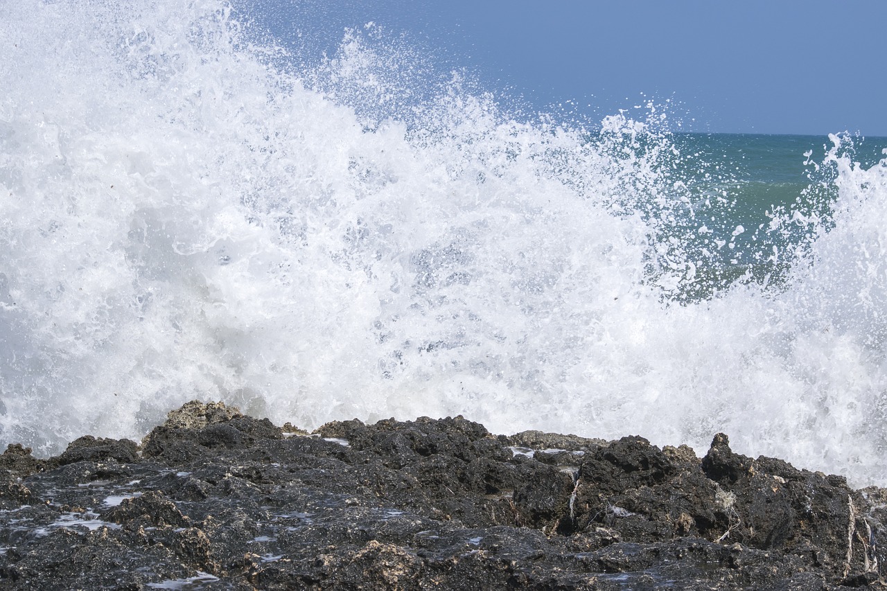 sea  rock  waves free photo
