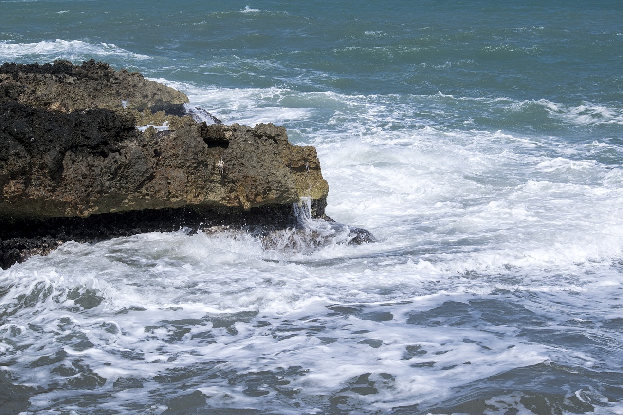 sea  rocks  cliffs free photo