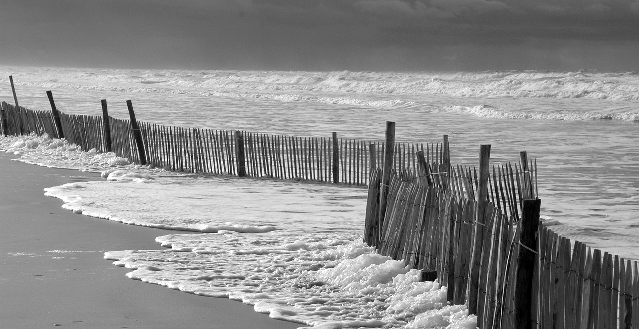 sea  beach  holiday free photo