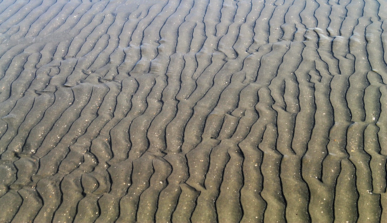 sea  sand  bangladesh free photo