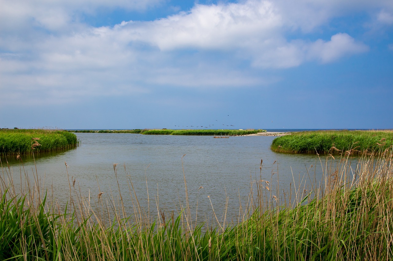 sea  sky  clouds free photo