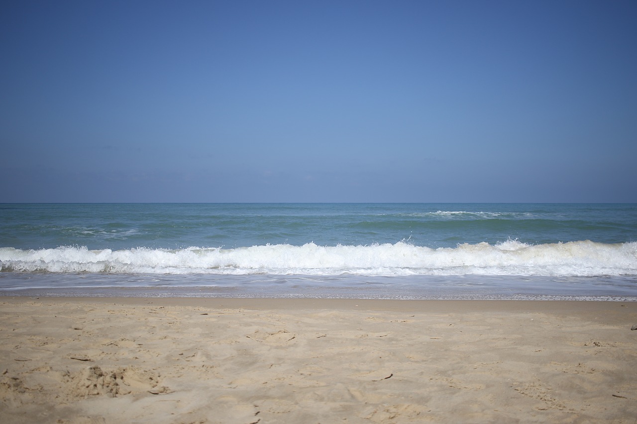 sea  water  sand free photo