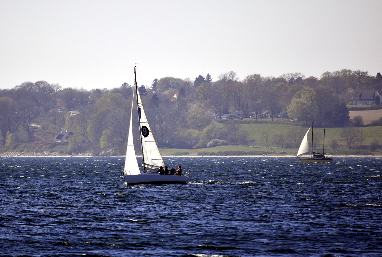 sea  water  sail free photo