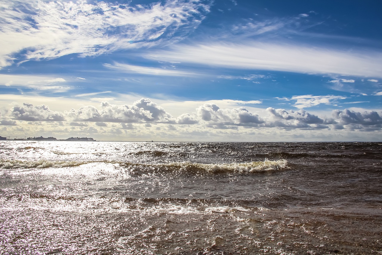 sea  horizon  sky free photo