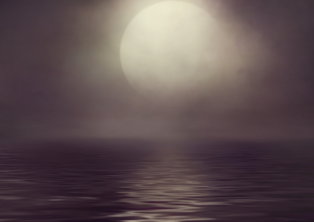 sea  moon  fog free photo