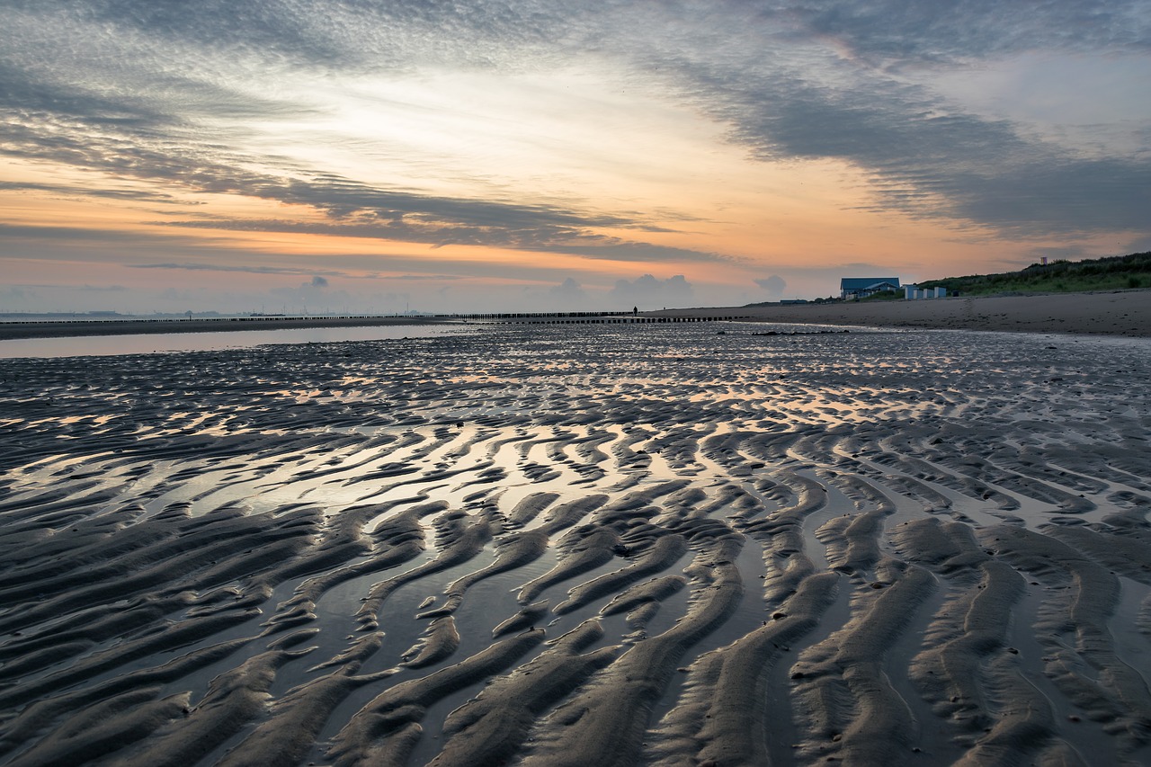 sea  beach  water free photo